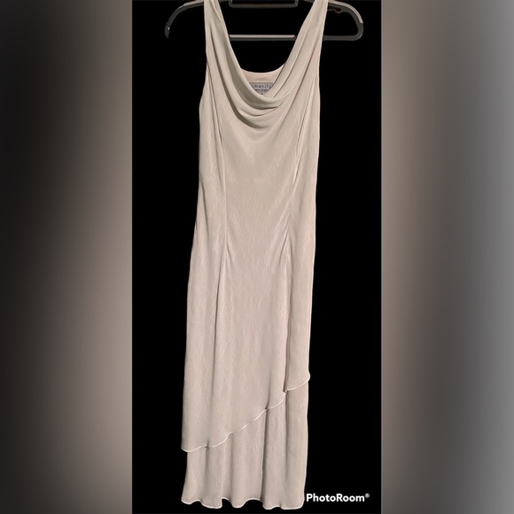 amenity Dresses & Skirts - Cocktail/Wedding Dress